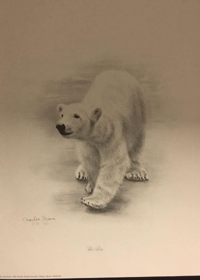 Polar Bear by Charles Frace'