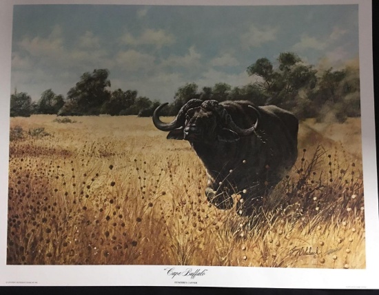 Cape Buffalo by Guy Coheleach