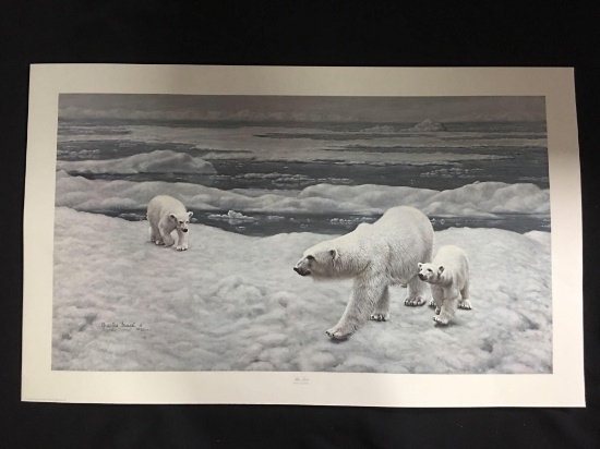 Polar Bear by Charles Frace'