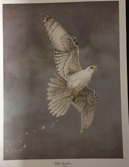 White Gyrfalcon by Guy Coheleach