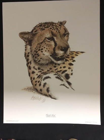 Cheetah Head by Guy Coheleach