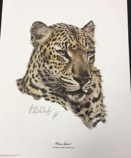 Chinese Leopard by Guy Coheleach