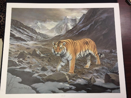 Siberian Tiger by Charles Frace'