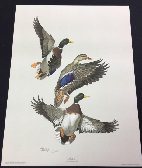 Mallards by Guy Coheleach