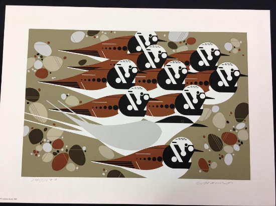 Tern Stones and Turnstones by Charles Harper