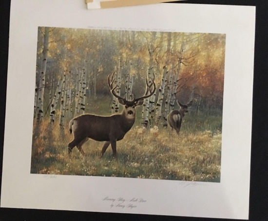 Morning Glory Mule Deer by Nancy Glazier