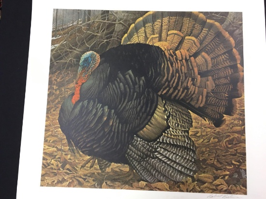 Courtship Display by Robert Bateman