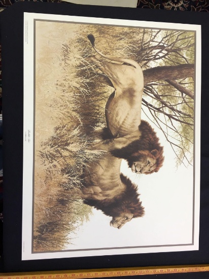 Bachelor Pair by Guy Coheleach