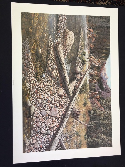 The Last Crossing by Richard Luce