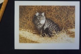 Barn Cat by Tucker Smith
