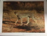 Cheetah by Charles Frace'