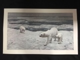 Polar Bear by Charles Frace'