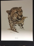 Cheetah Head by Guy Coheleach