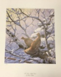 New Snow - Ruffled Grouse by David Maass