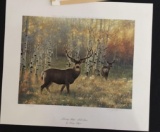 Morning Glory Mule Deer by Nancy Glazier
