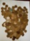 Wheat Pennies in circulated grades