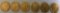 6 - St. Gaudens $20 Gold Coins