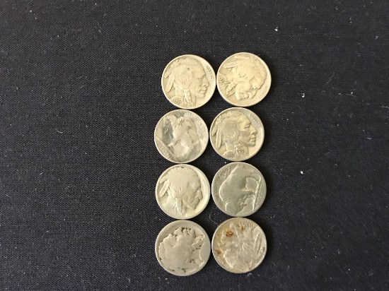 8 - Indian Head Buffalo 5 Cent Coins in various circulated Dates and Grades