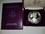 American Eagle 1 oz. Bullion Coin