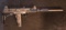 Carl Walther Germany?s IWI-Israel .22LR Semi Auto