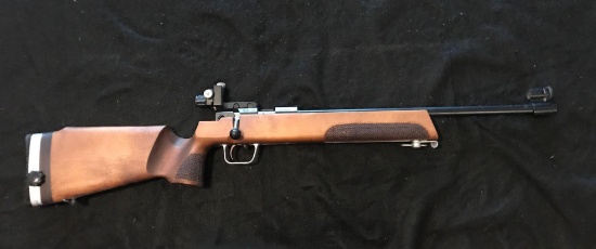 Russian American Armory Co CM2 .22LR with peep sights
