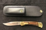 Buck 110 Spring Assist with 4? Blade