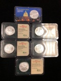 6 Silver American Eagles