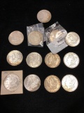 13 1921 Morgan Silver Dollars