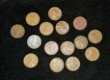 Lot of wheat pennies