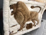 Alpaca Wool Tapestry