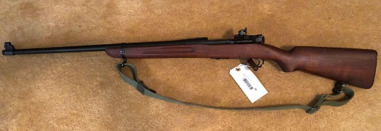 Springfield... .22LR 1719