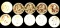 1 Lot of 10 Gold Plated State Quarters