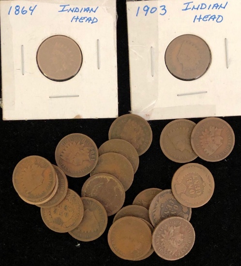 Lot of Indian Head Pennies