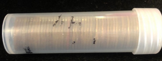1 Roll Wheat Pennies