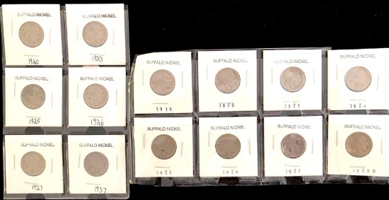 1 Lot of Buffalo Nickels