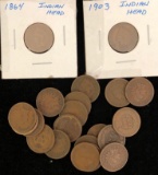 Lot of Indian Head Pennies