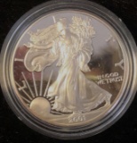 2001 Walking Liberty