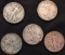 5 Walking Liberty Half Dollars