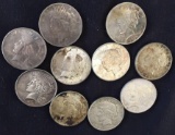 1 Lot of 10 Peace Dollars