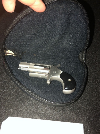 NAA 22 Mini Revolver 5 Shot