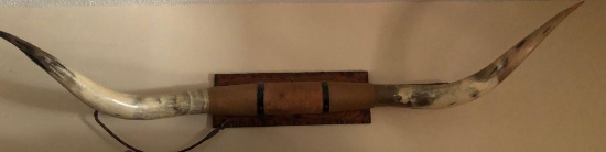 Long Horn Cattle Horns