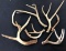 Mixed lot of Antlers