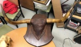 Long Horn Mount