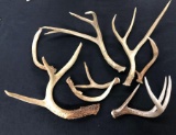 Mixed lot of Antlers