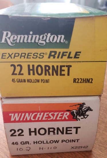 22 Hornet