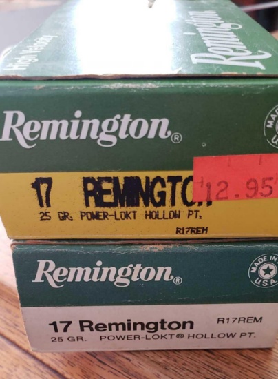 17 REM