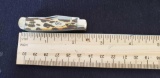 W. R. Case & Sons Cutlery Co., Item No. 08603, 154 62154 SS, Tiny Trapper BN, SM, Leopard