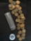 1 Roll of Approximately 50 Indian Cents