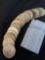 1 Lot of 20 Peace Dollars
