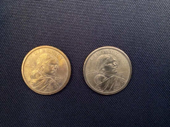 1 Lot of 2 SakaJewea Dollar Coins